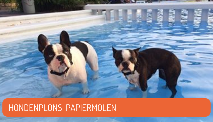 HONDENPLONS (1).png